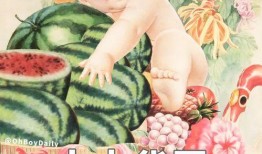 娱乐吃瓜图鉴在哪看,全网热门内容一键掌握